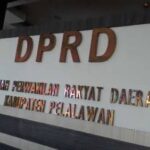 Tingginya Kasus Anak, Komnas PA Surati DPRD Pelalawan Minta RDP Bersama Pihak Terkait